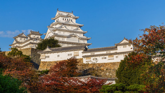 在 Hyigo Prefecture 日本姬路城堡