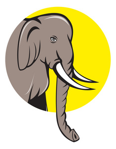 印度大象头卡通