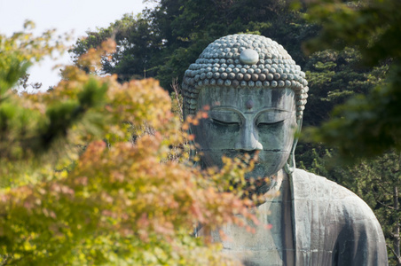 大佛或被害美华达广德院寺，日本