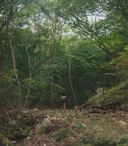 旅行者女人走在夏天森林