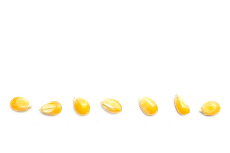 黄玉米籽粒