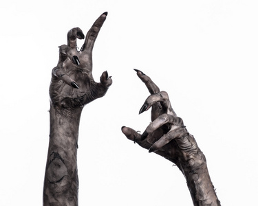 万圣节之黑乌鸦图片