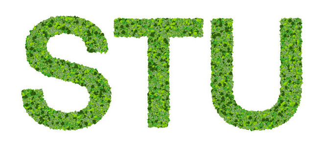 S T U 字母由孤立的白色背景上的绿色树叶制成