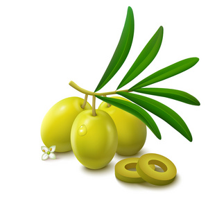 橄榄枝圆环图片