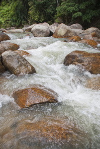 文冬 彭亨 马来西亚自然不发达的河