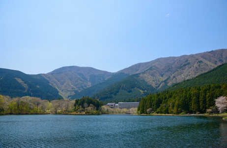 在富士宫，日本静冈田贯湖