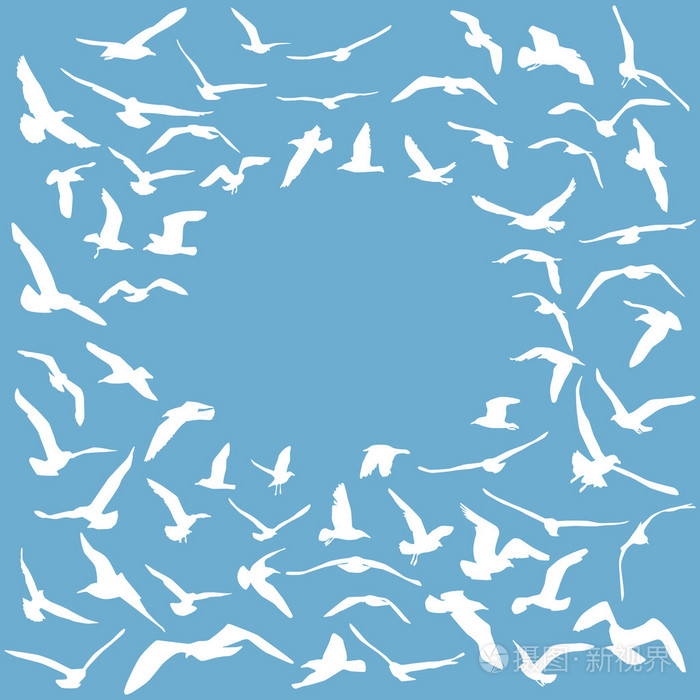 插画 海鸥白色的轮廓在蓝色的背景上. 卡片设计. vecto.eps