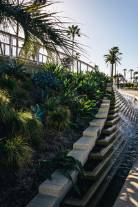 喷泉和花园在 Tongva 公园，在加利福尼亚的圣莫尼卡
