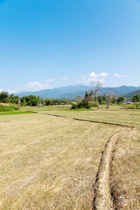 水田岭