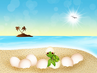 3d 渲染乌龟核桃海龟蛋鸡蛋上海滩-拼贴 3d 渲染可爱卡通的剪影海龟