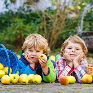 两个可爱的小兄妹的孩子在家里的花园里吃苹果