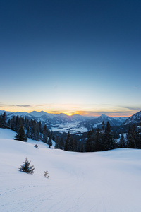 在下雪的冬天在奥地利阿尔卑斯山中查看到日落