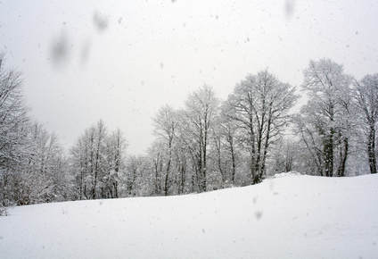 中雪图片