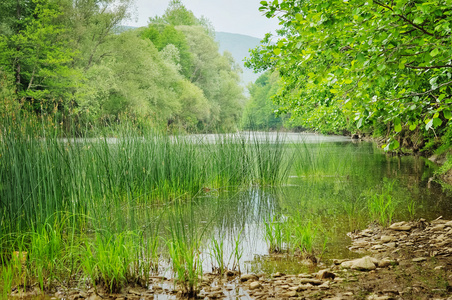 与河景观