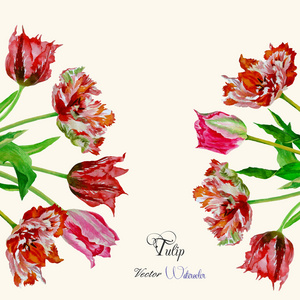 背景与花束 tulips204