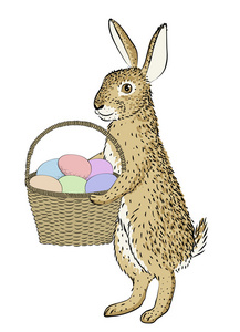 兔子和篮子里的鸡蛋