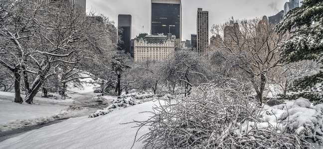 中央公园后暴风雪图片