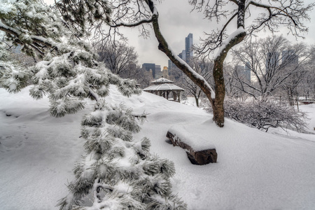 暴风雪后乡村住房