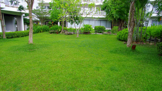 共创绿色家园图片