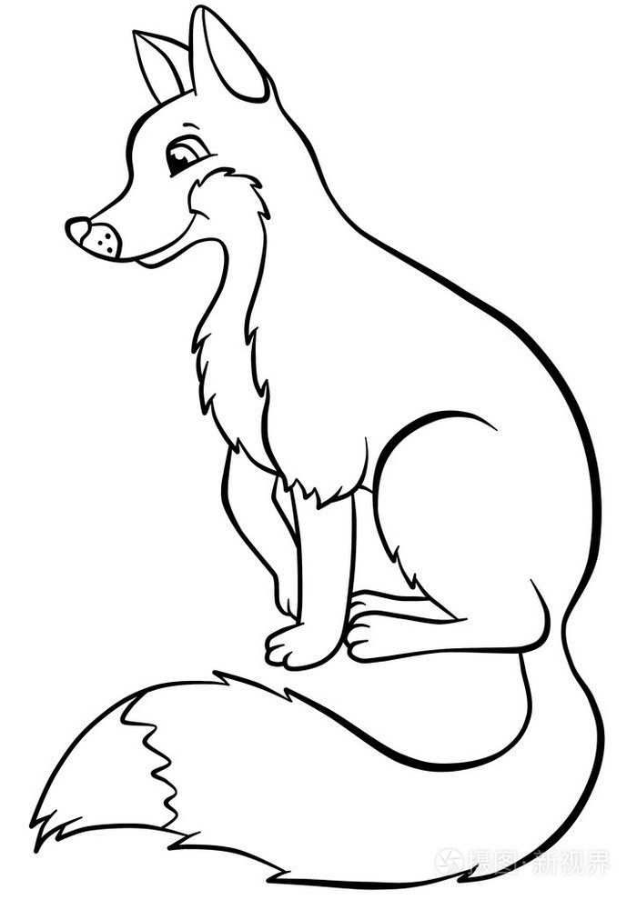 可爱善良狡猾的狐狸坐在森林里