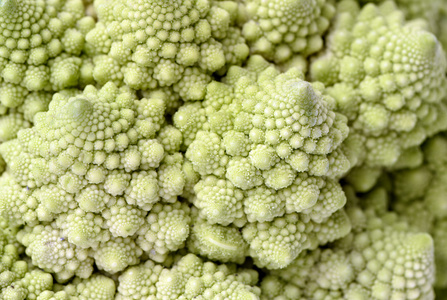 romanesco 青花菜白菜