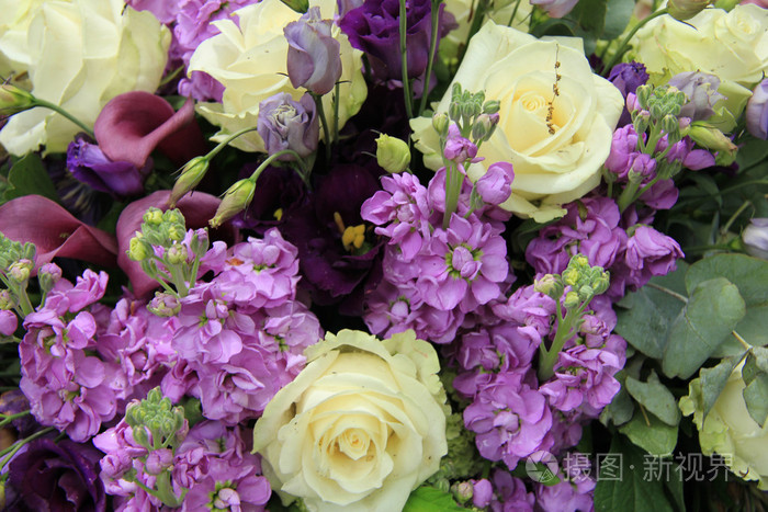 紫色和白色新娘安排