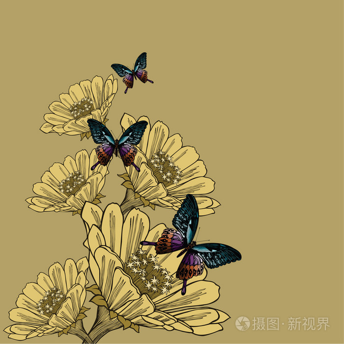 花和蝴蝶,手绘背景.矢量 il
