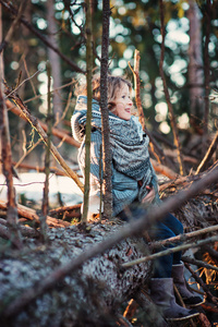 快乐的孩子的女孩坐在早春森林中有棵老松树上玩