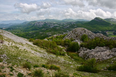 黑山。国家公园 Lovcen