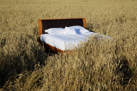 在粮食领域概念的良好睡眠的床