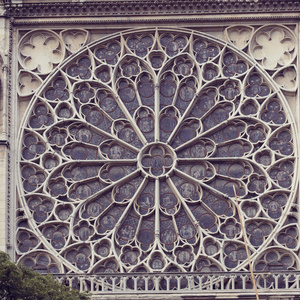 圣母院大教堂的建筑细节巴黎