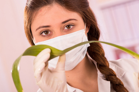 年轻的女生物学家尝试与叶