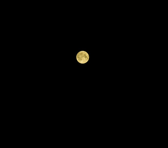 夜空中的圆月图片