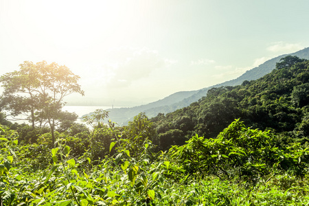 在阳光里山