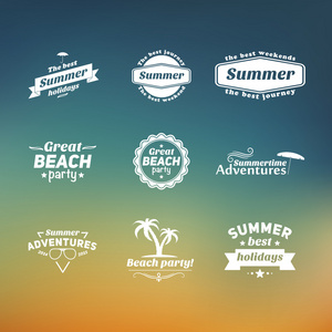组的夏天复古的设计元素。复古装饰品和标签，热带天堂海滩度假 冒险和旅行