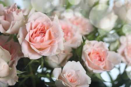 美丽的粉红色玫瑰捧花