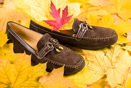 秋天的树叶背景上的鞋子