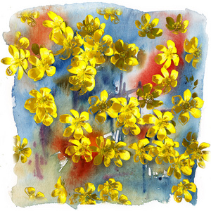 春天的黄色的花朵