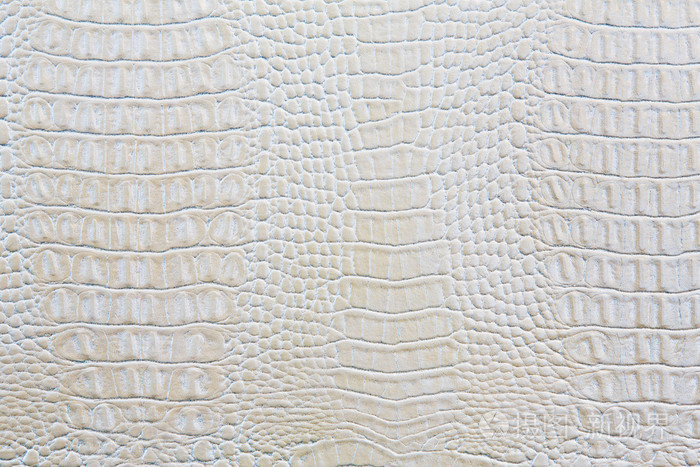 鳄鱼皮白色皮革背景