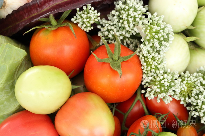 番茄和蔬菜