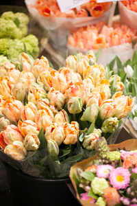 在阿姆斯特丹的花卉市场