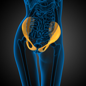骨盆骨三维医疗图