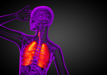 人体呼吸系统的 3d 渲染医学插图