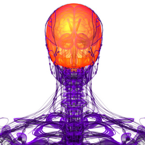 3d 渲染医学插图的上部的头骨