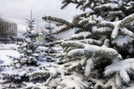 在城市中心在冬天在雪地里吃了