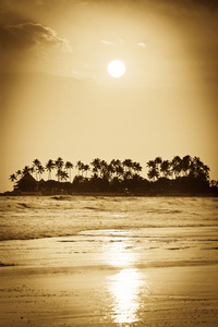 在热带海滩日落