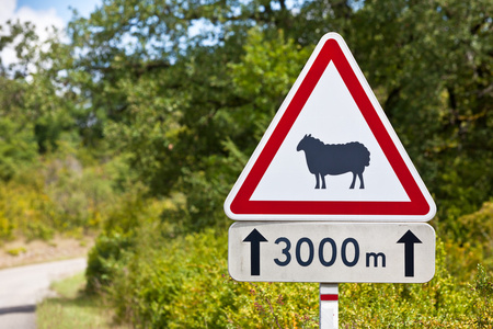 交通标志警告的羊