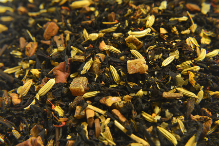 茶树品种
