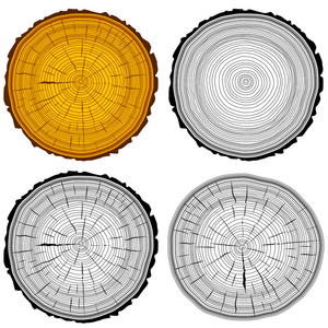 设置树的年轮锯砍下的树树干背景。它制作图案矢量