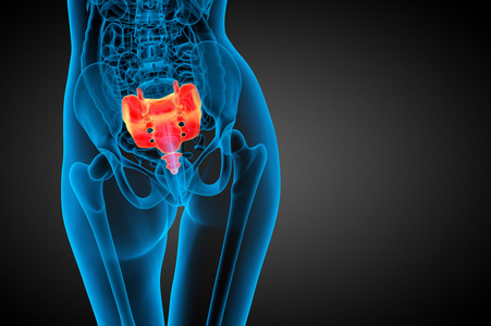 骶骨骶骨的脉轮符号女性的身体,骶骨骨扫描马来西亚马六甲海峡清真寺